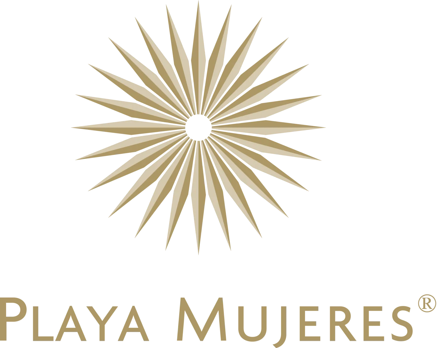 Logo Playa Mujeres Couleur Cafe