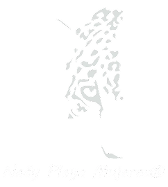 Naay-Logo