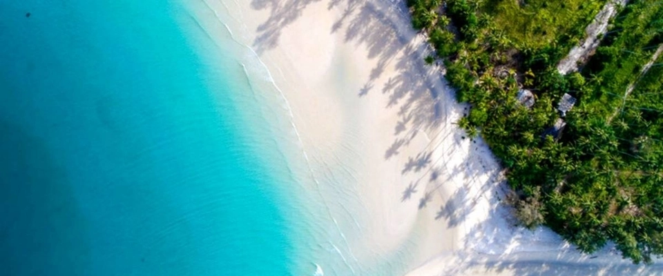 Explora la rica biodiversidad del Caribe Mexicano