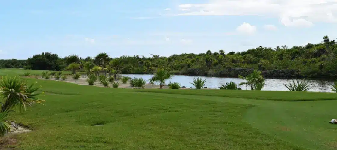 Disfruta del Campo de Golf en la Playa